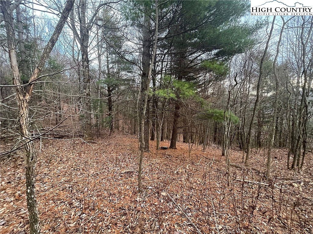 125 Dancing Wind Ct Todd, NC 28684 - Thumbnail 3