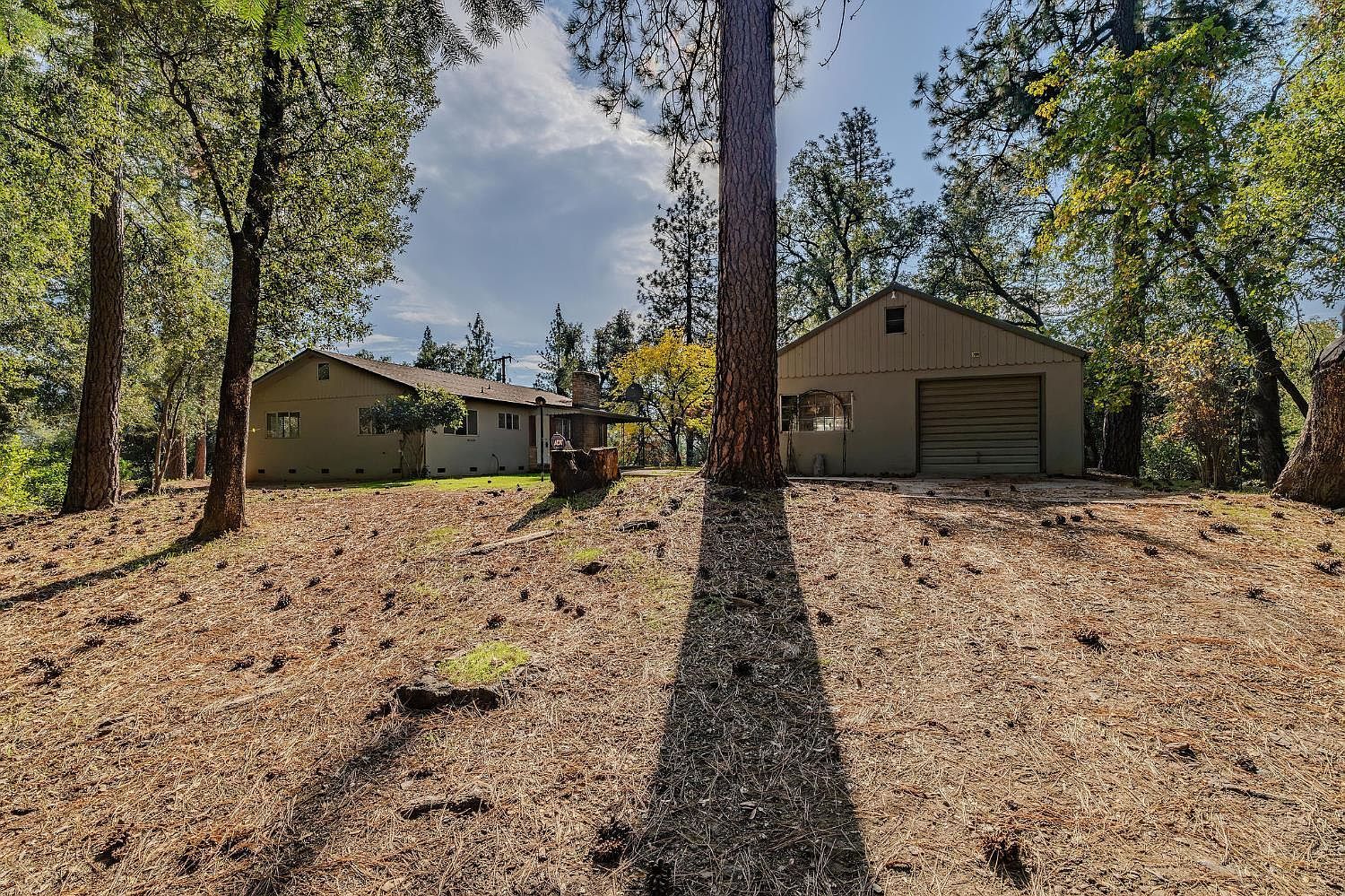 13309 Taves Rd Jackson, CA 95642 - Thumbnail 3