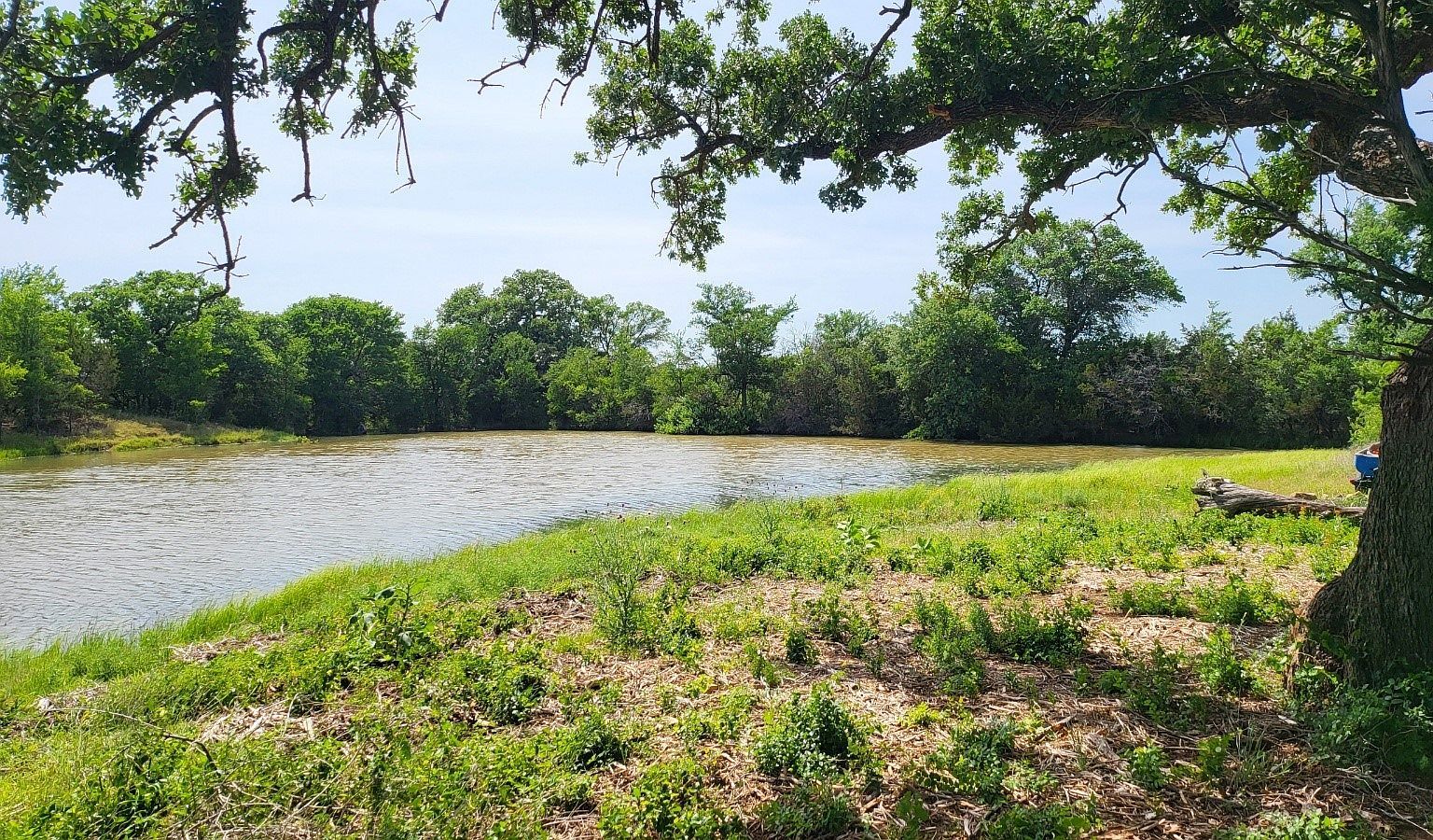 130 New Hope Rd Palo Pinto, TX 76484 - Thumbnail 3