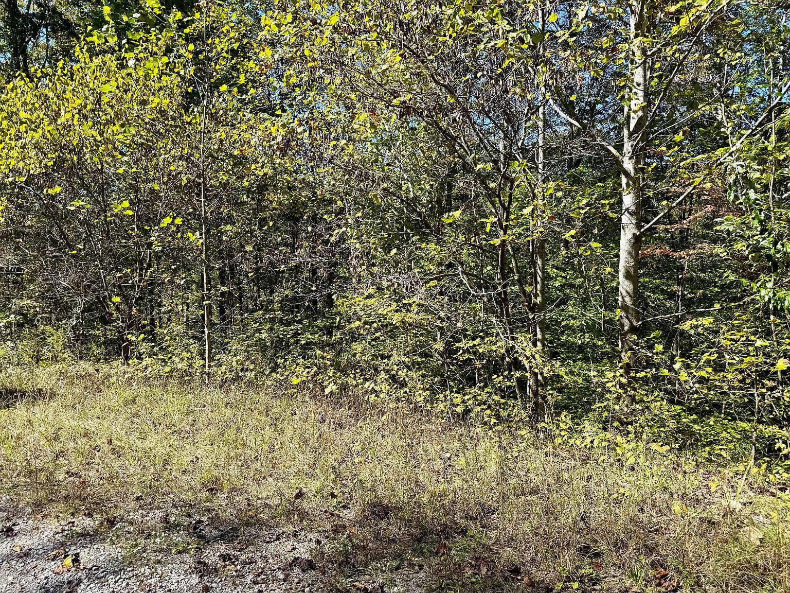 9999 W Bobcat Ln #61 Wilder, TN 38589 - Thumbnail 3