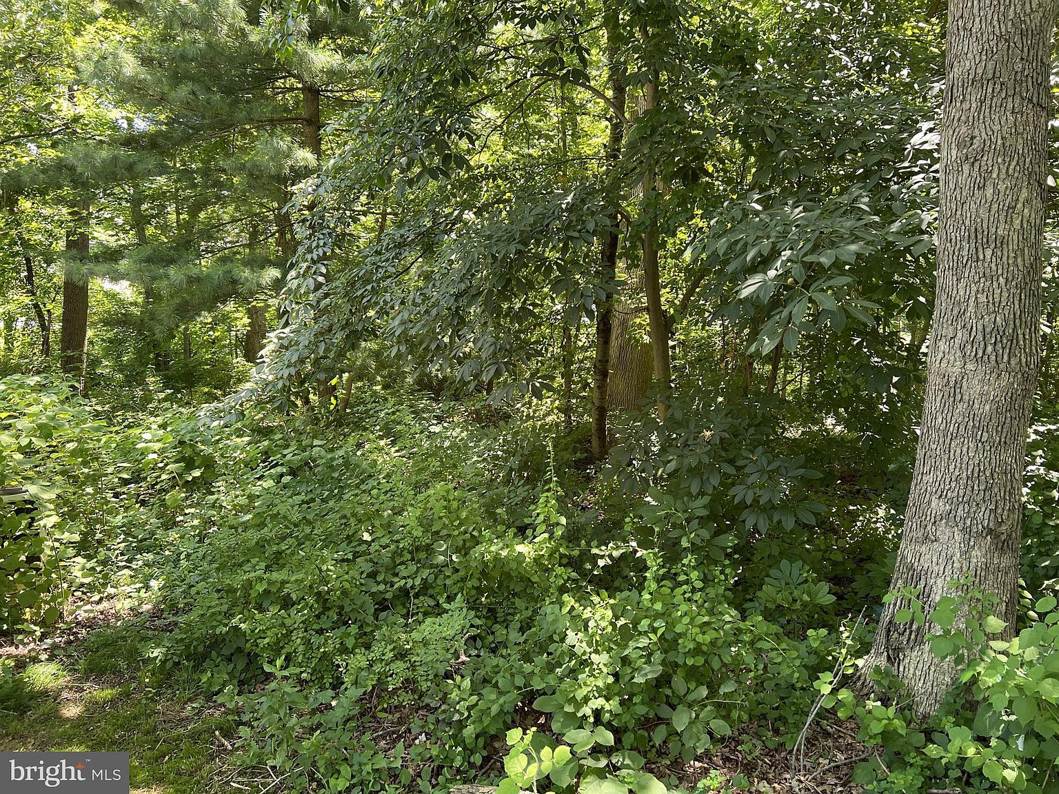 Harford St Aberdeen, MD 21001  | Land/Lot