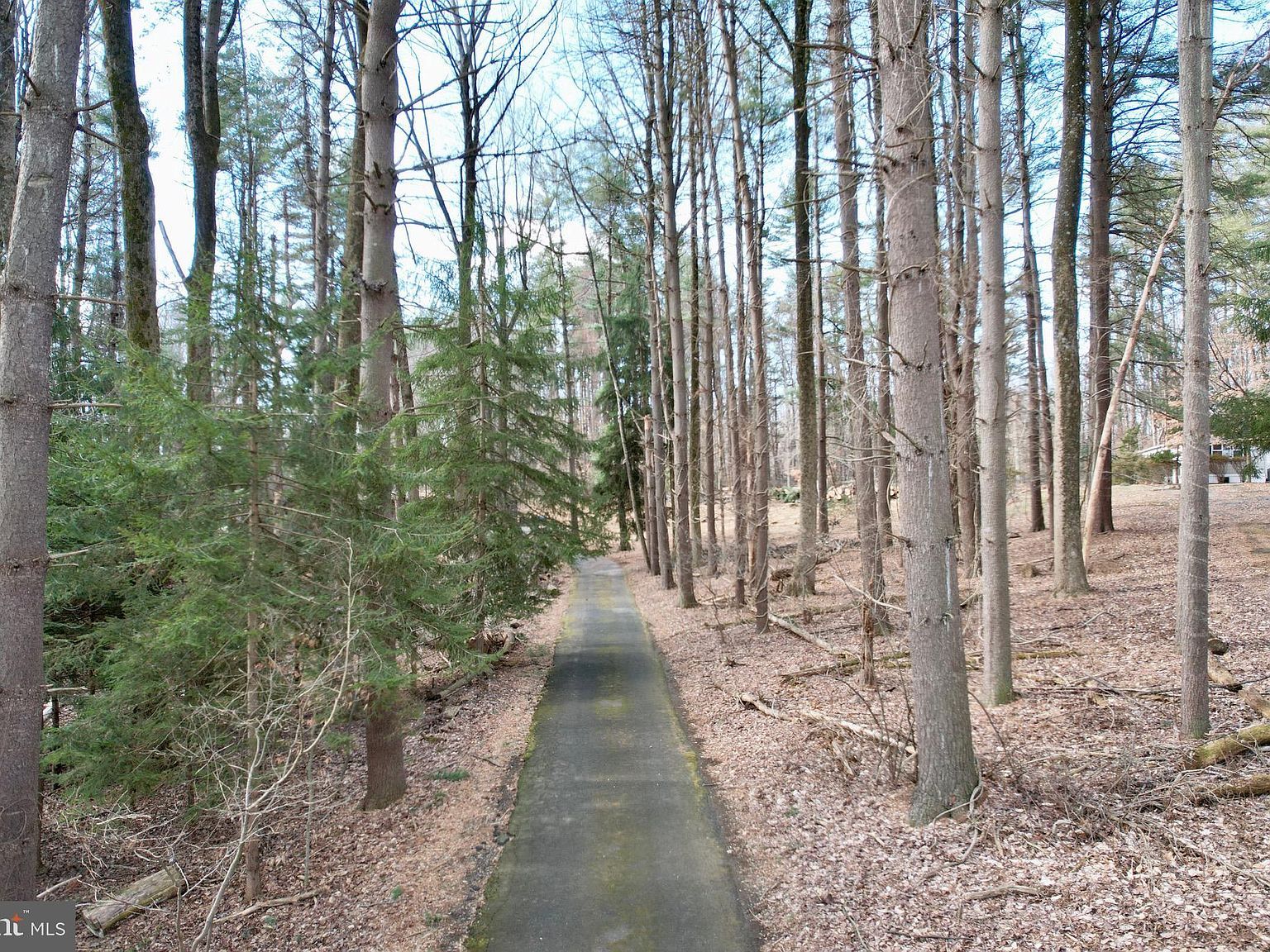 603 E Wheel Rd Bel Air, MD 21015 - Thumbnail 3