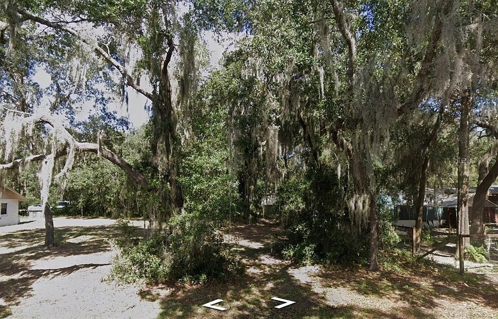 NE 223rd Pl LOT 6 Fort Mc Coy, FL 32134  | Land/Lot