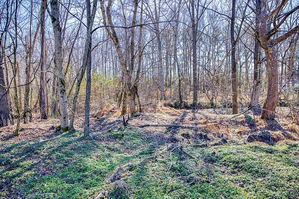LOT 21 Williams Cir Cookeville, TN 38506 - Thumbnail 3