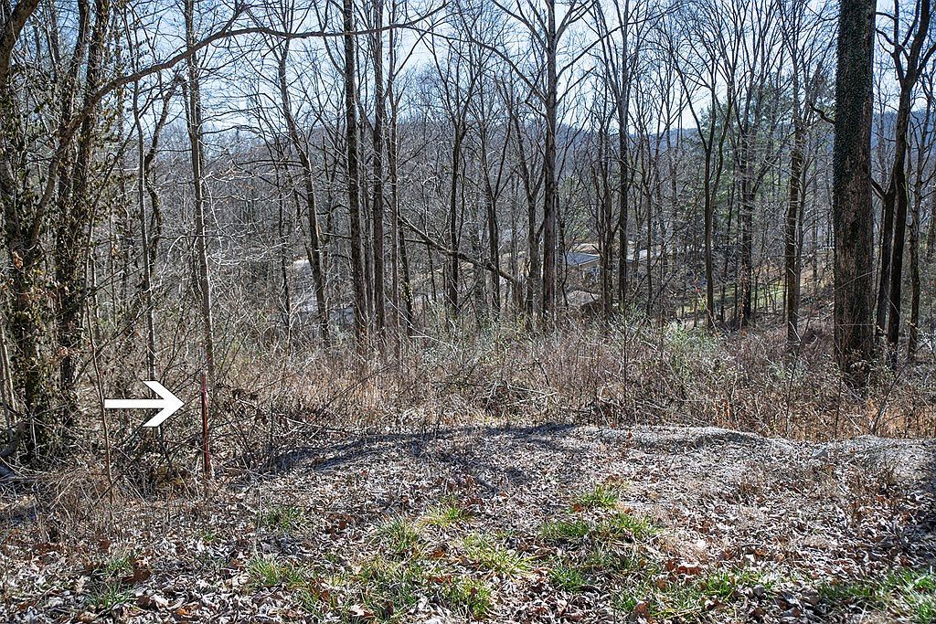 LOT 54 Lake Valley Dr Cookeville, TN 38506 - Thumbnail 3