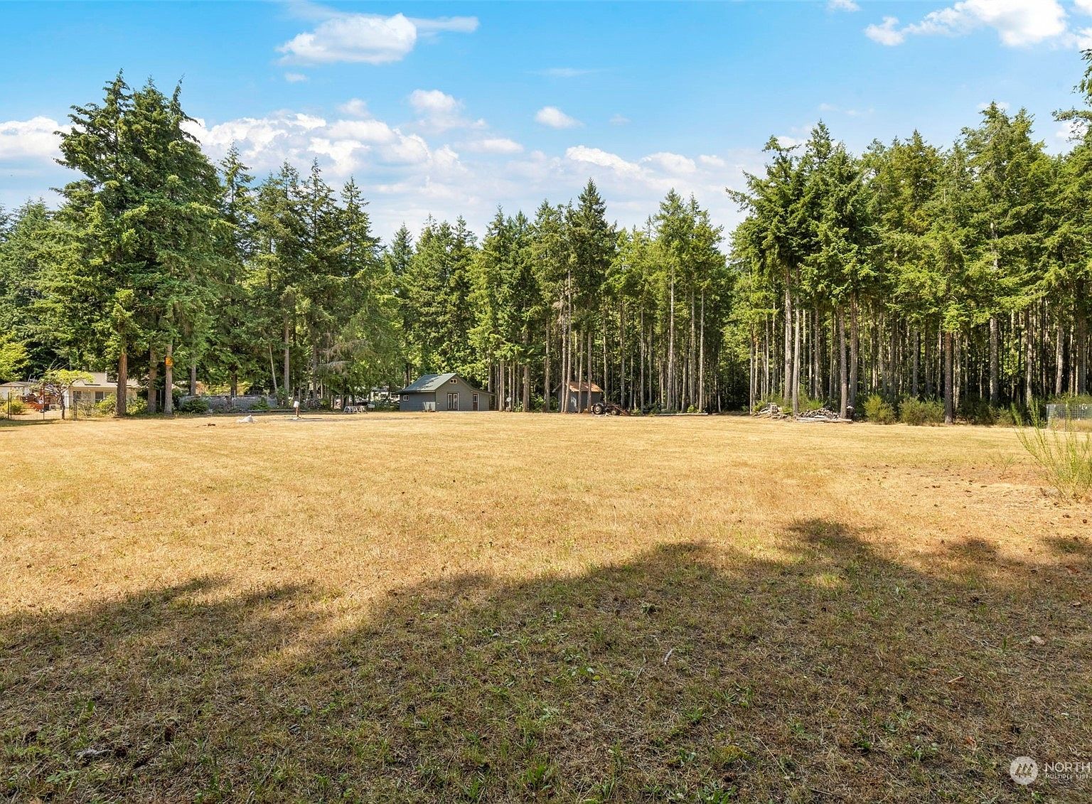 140 Springer Ln Brinnon, WA 98320 - Thumbnail 3