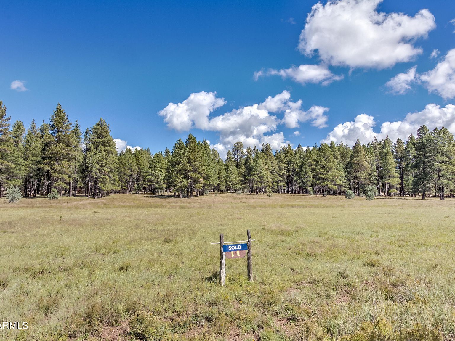 95 E Foxboro Rd #11 Munds Park, AZ 86017 - Thumbnail 3