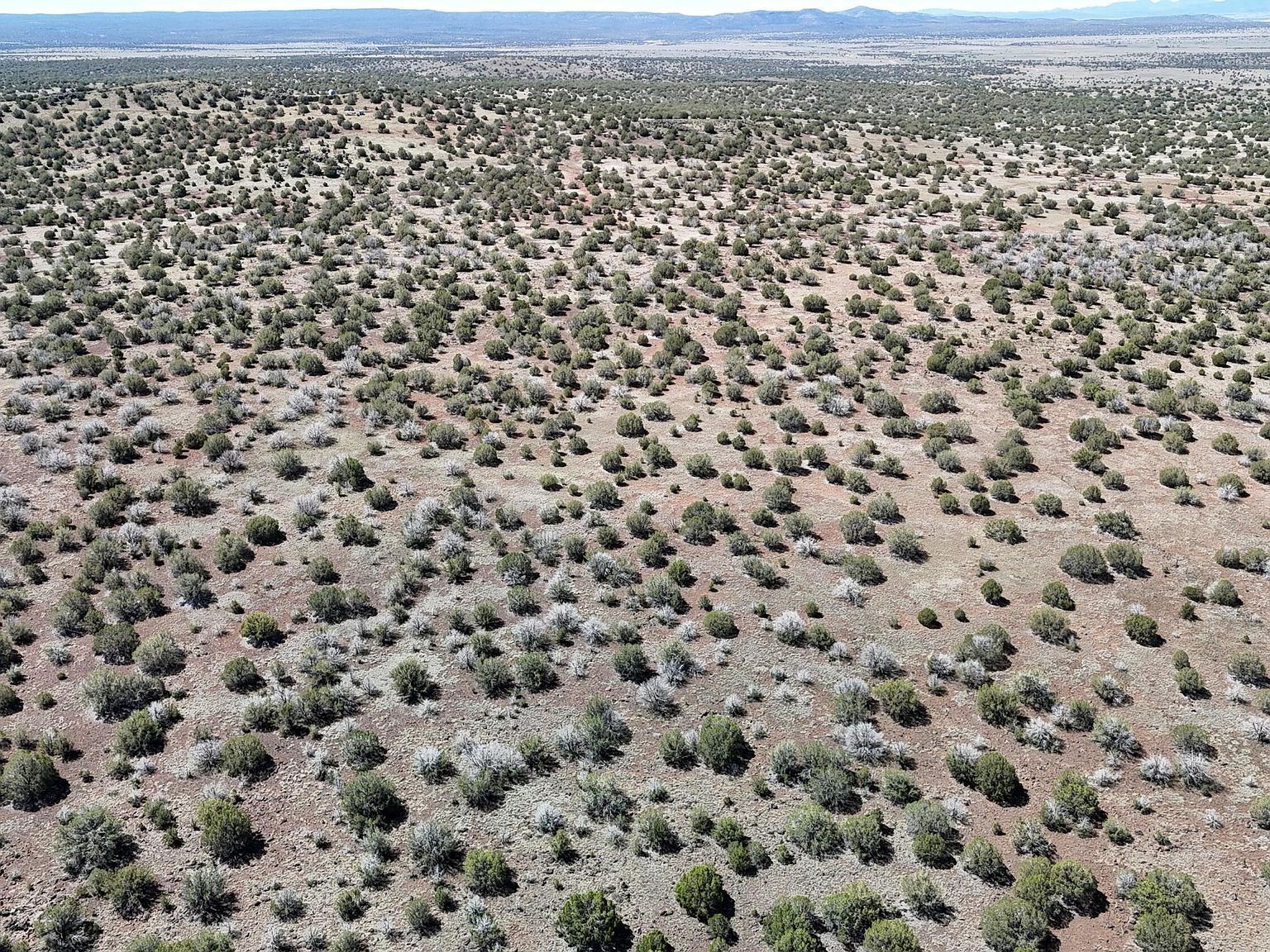 4636 N Artemeze Dr Williams, AZ 86046 - Thumbnail 3