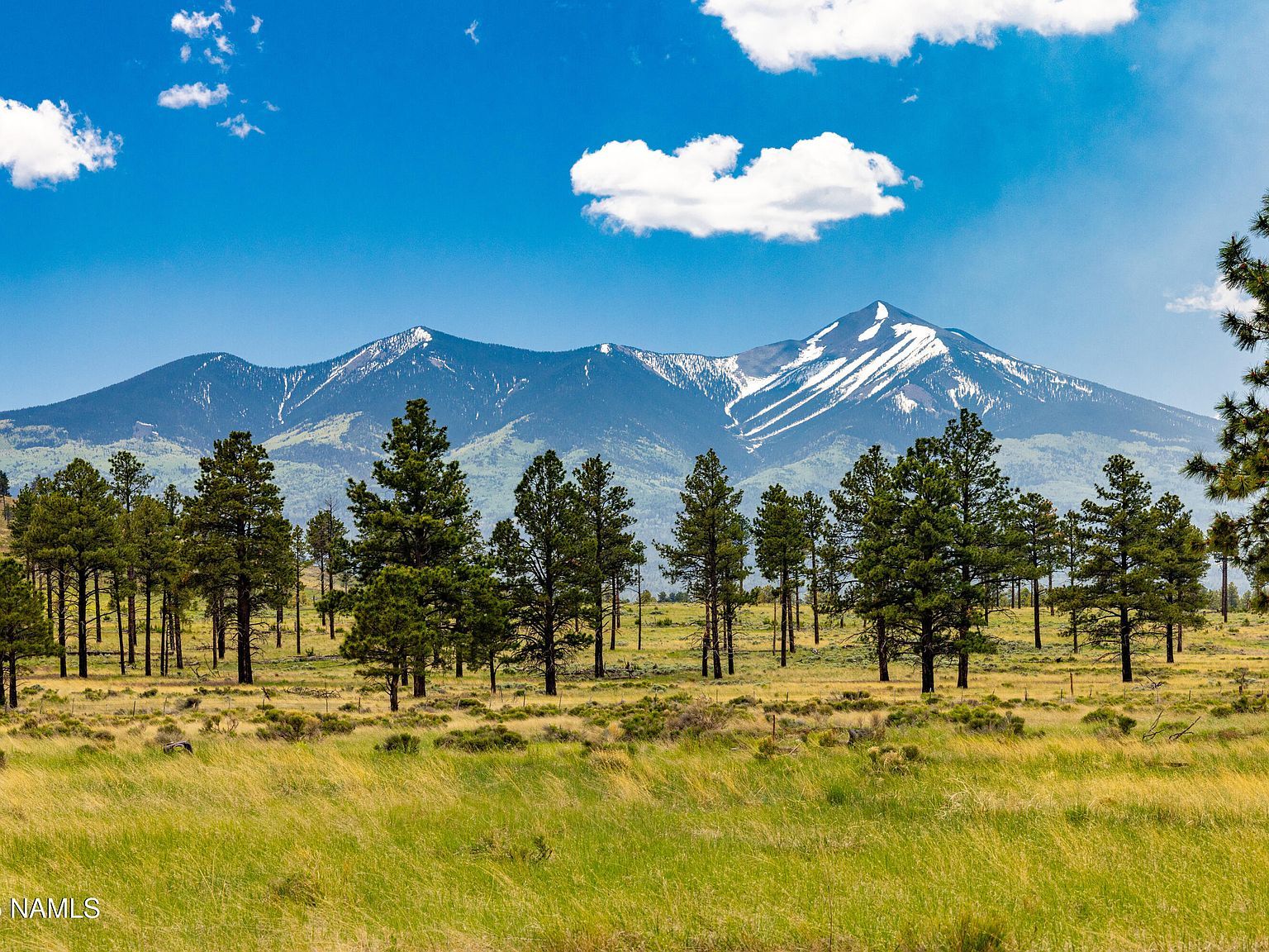 0 Snow Bowl Estates 2 Lot 7 Flagstaff, AZ 86001 - Thumbnail 3