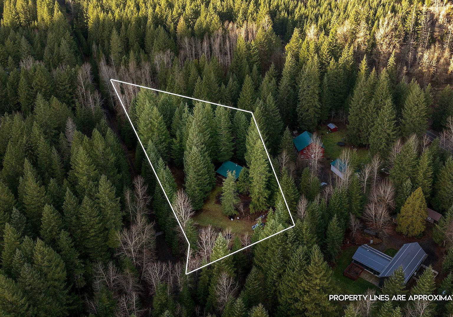 62 Sadie Rd Carson, WA 98610 - Thumbnail 3