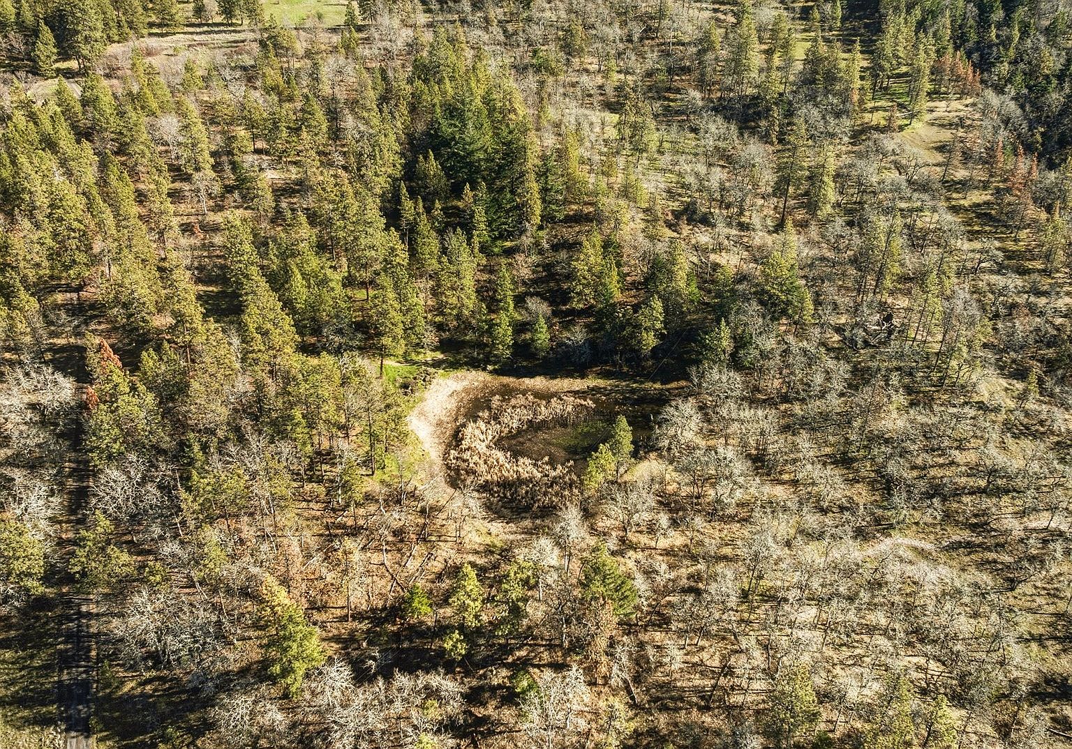 Morgensen Rd Mosier, OR 97040 - Thumbnail 3