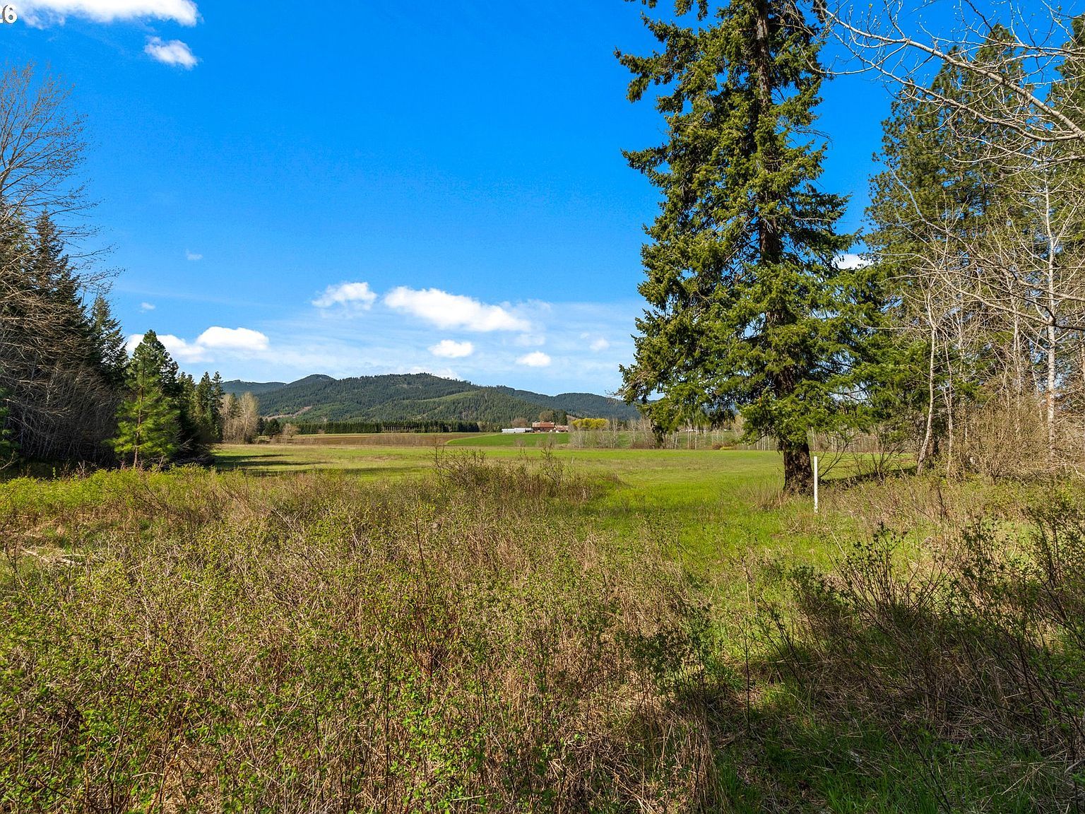 Stoller Rd Trout Lake, WA 98650 - Thumbnail 3