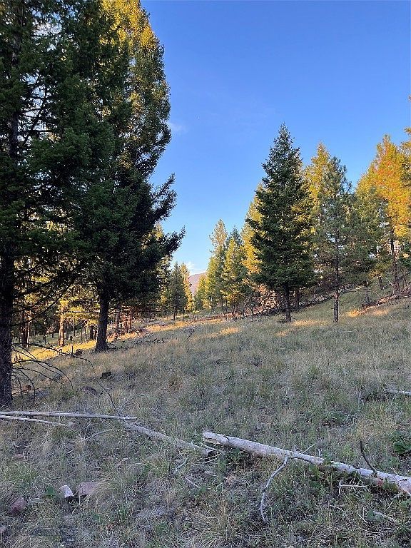 451 Crimson Peak Ct Seeley Lake, MT 59868 - Thumbnail 3