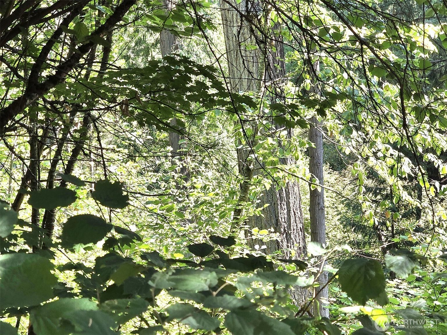 21815 Beachside Dr SE Yelm, WA 98597 - Thumbnail 3