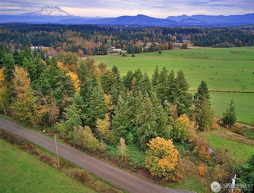 19441 Cougar Mountain Airport Rd SE Yelm, WA 98597 - Thumbnail 3