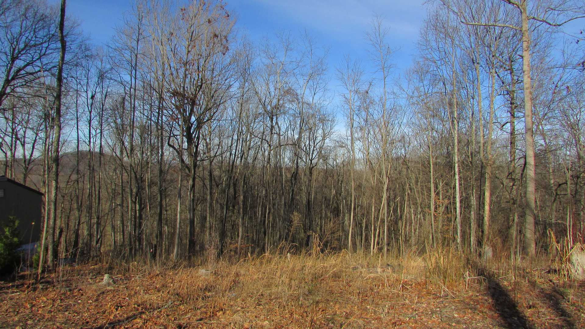 909 Hales Chapel Road, Jonesborough, TN, USA, 37659 - Thumbnail 3