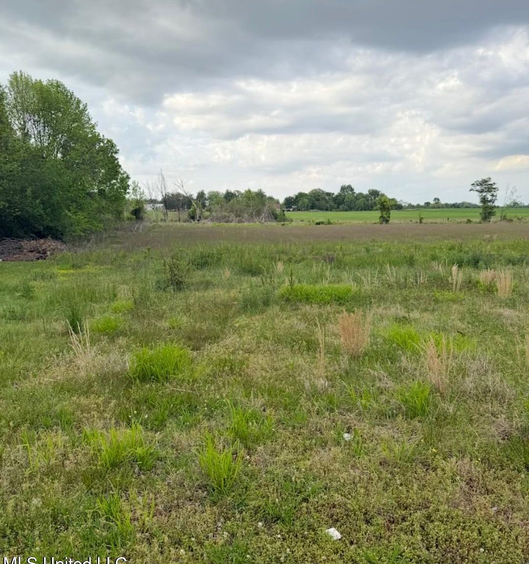 0 Swoope Rd #7 Drew, MS 38737 - Thumbnail 3