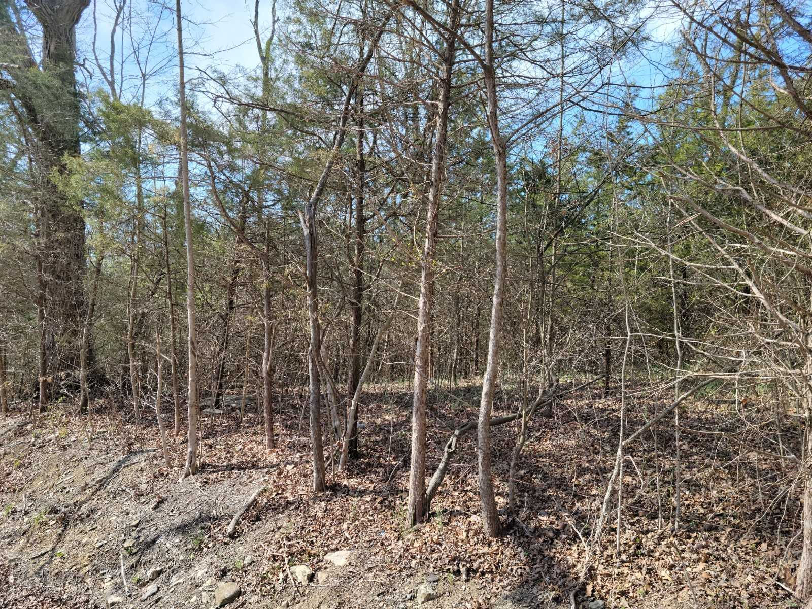 Union Ridge Road, Frankfort, KY, USA, 40601 - Thumbnail 3