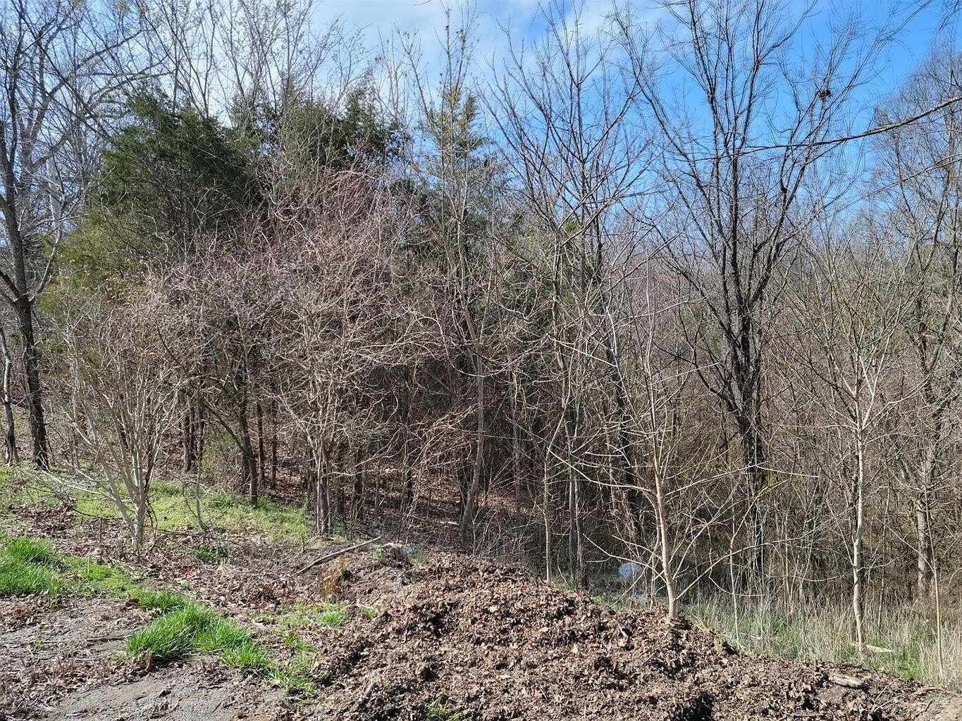 0 Union Ridge Rd Frankfort, KY 40601 - Thumbnail 3