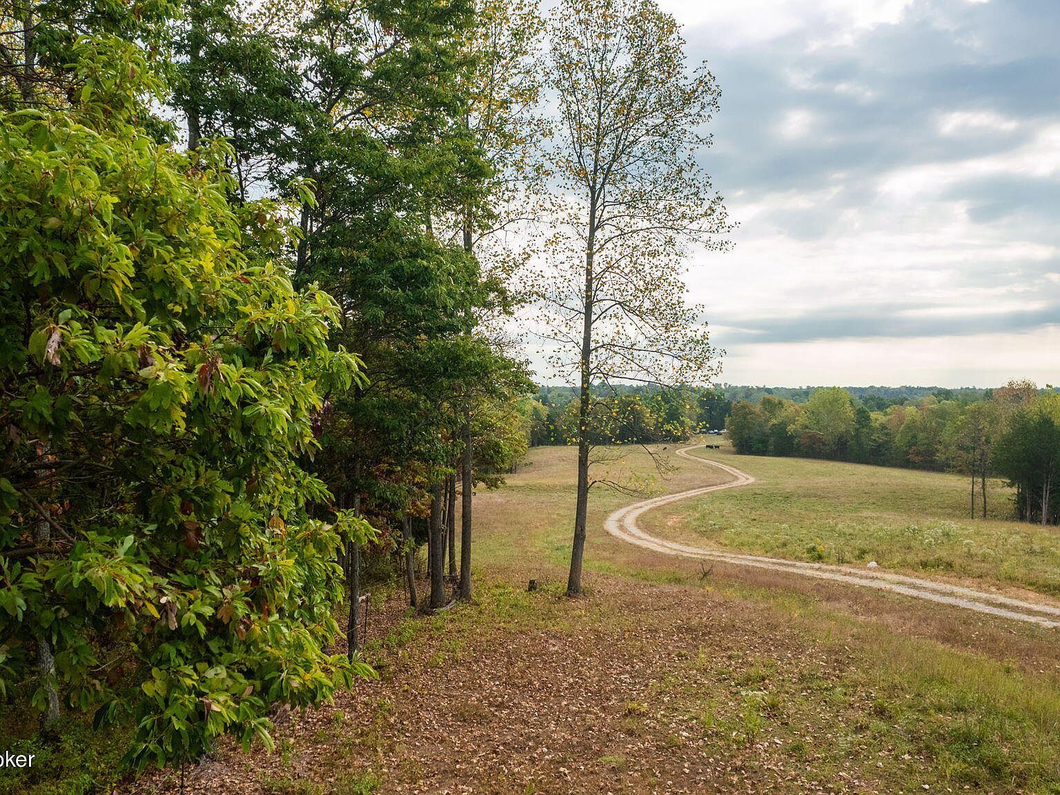 0 W 42nd Hwy, Bedford, KY, 40006 - Thumbnail 3