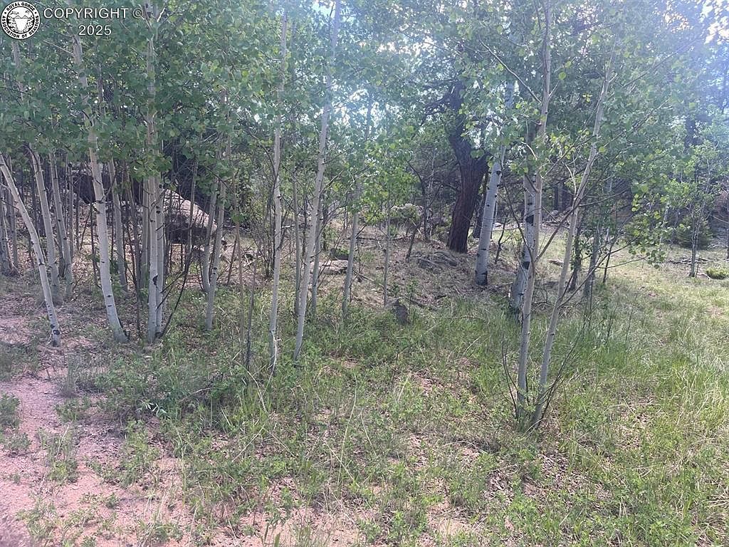 94 & 146 County Road 403 Florissant, CO 80816 - Thumbnail 3