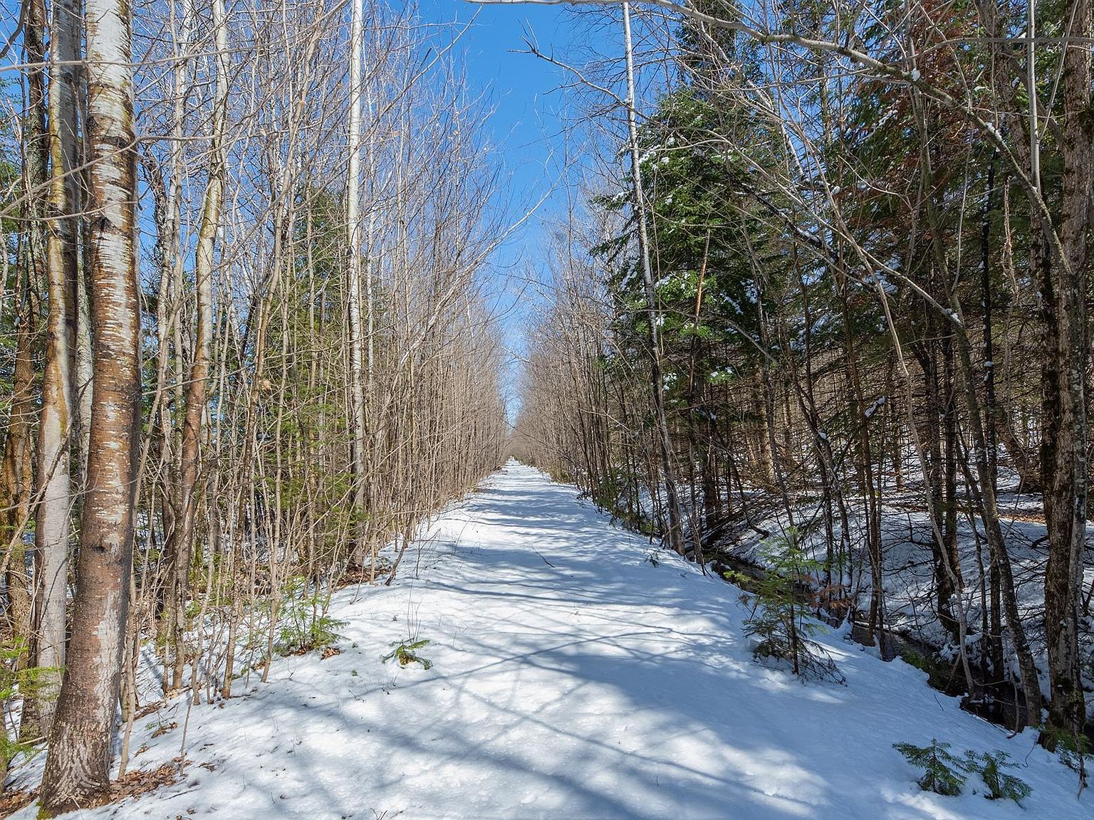 56.97 Ac Hwy #77 Upson, WI 54565 - Thumbnail 3