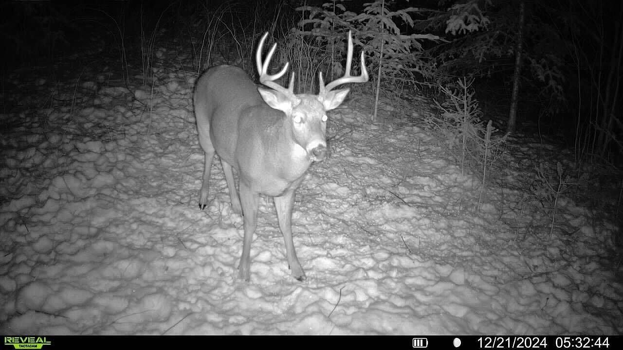 N3547 Cth D Brantwood, WI 54513 - Thumbnail 3