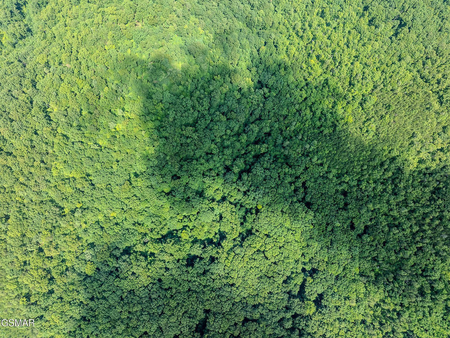 0 Overview Way Newport, TN 37821 - Thumbnail 3