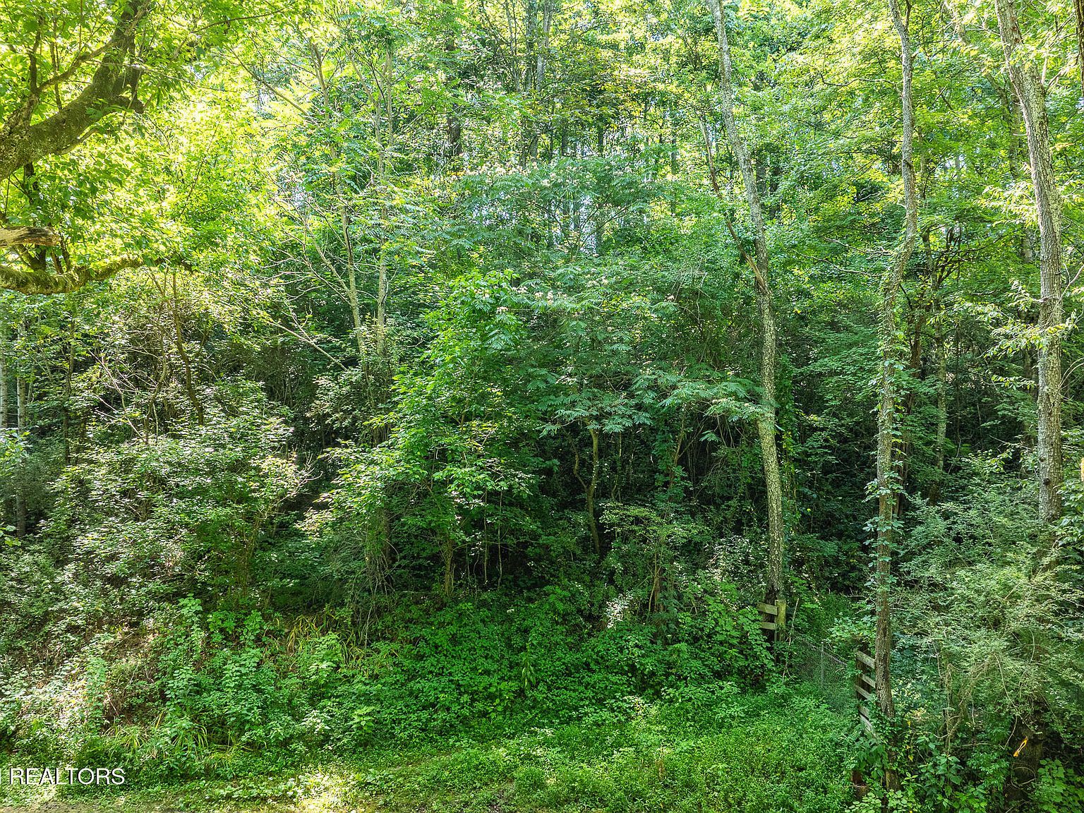 174 Old Ivey Hollow Rd La Follette, TN 37766 - Thumbnail 3