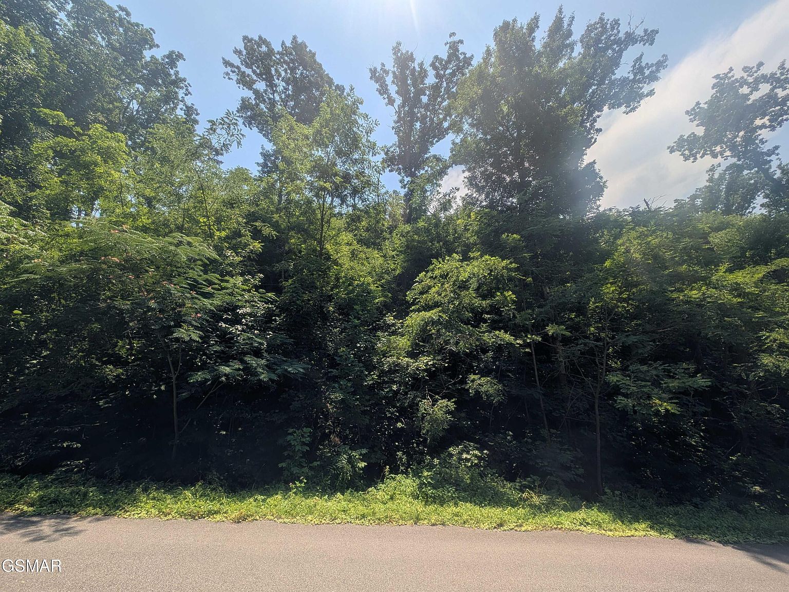 0 Beech Branch Rd, Gatlinburg, TN, 37738 - Thumbnail 3