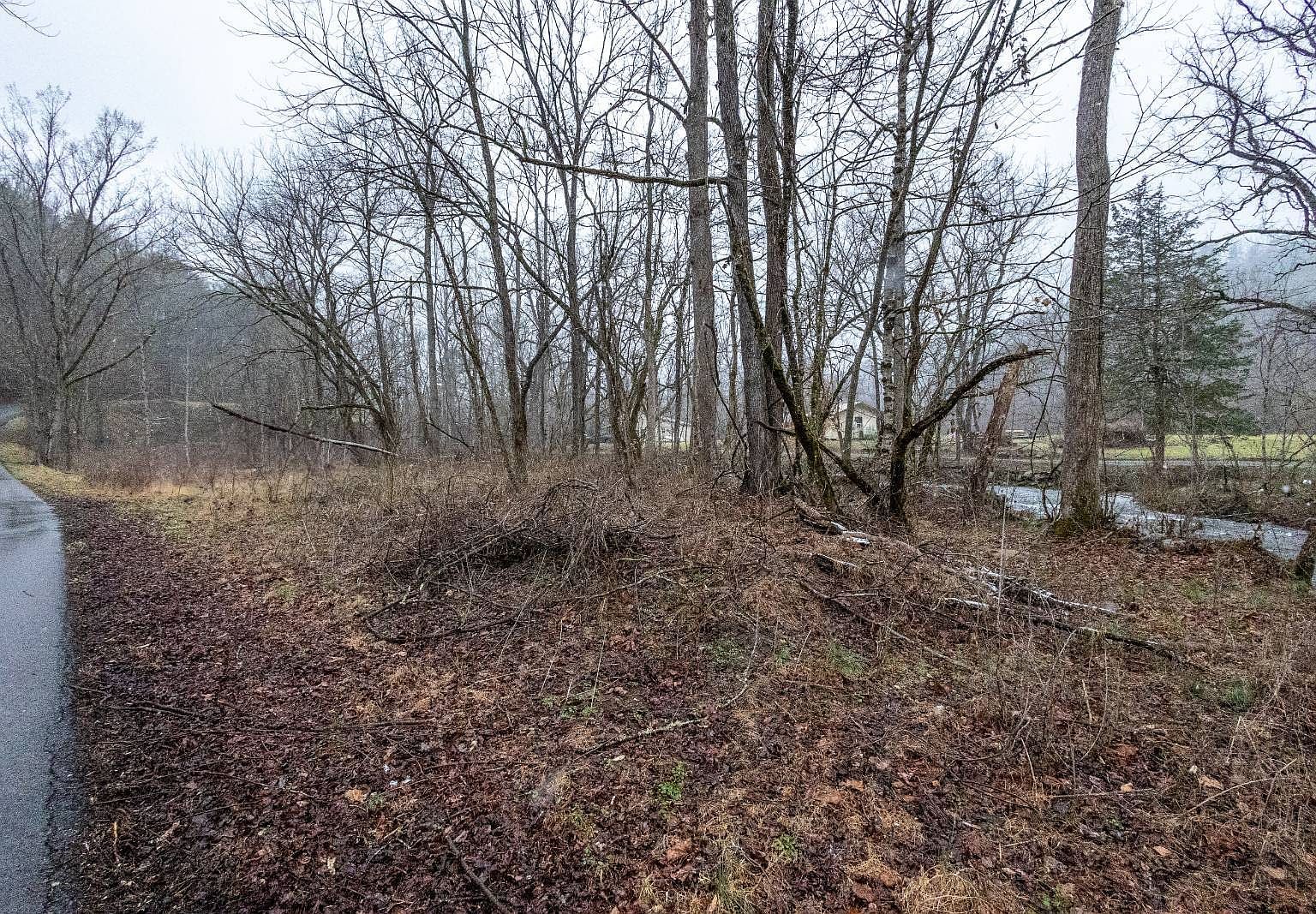 1392 Rocky Flats Rd Cosby, TN 37722 - Thumbnail 3