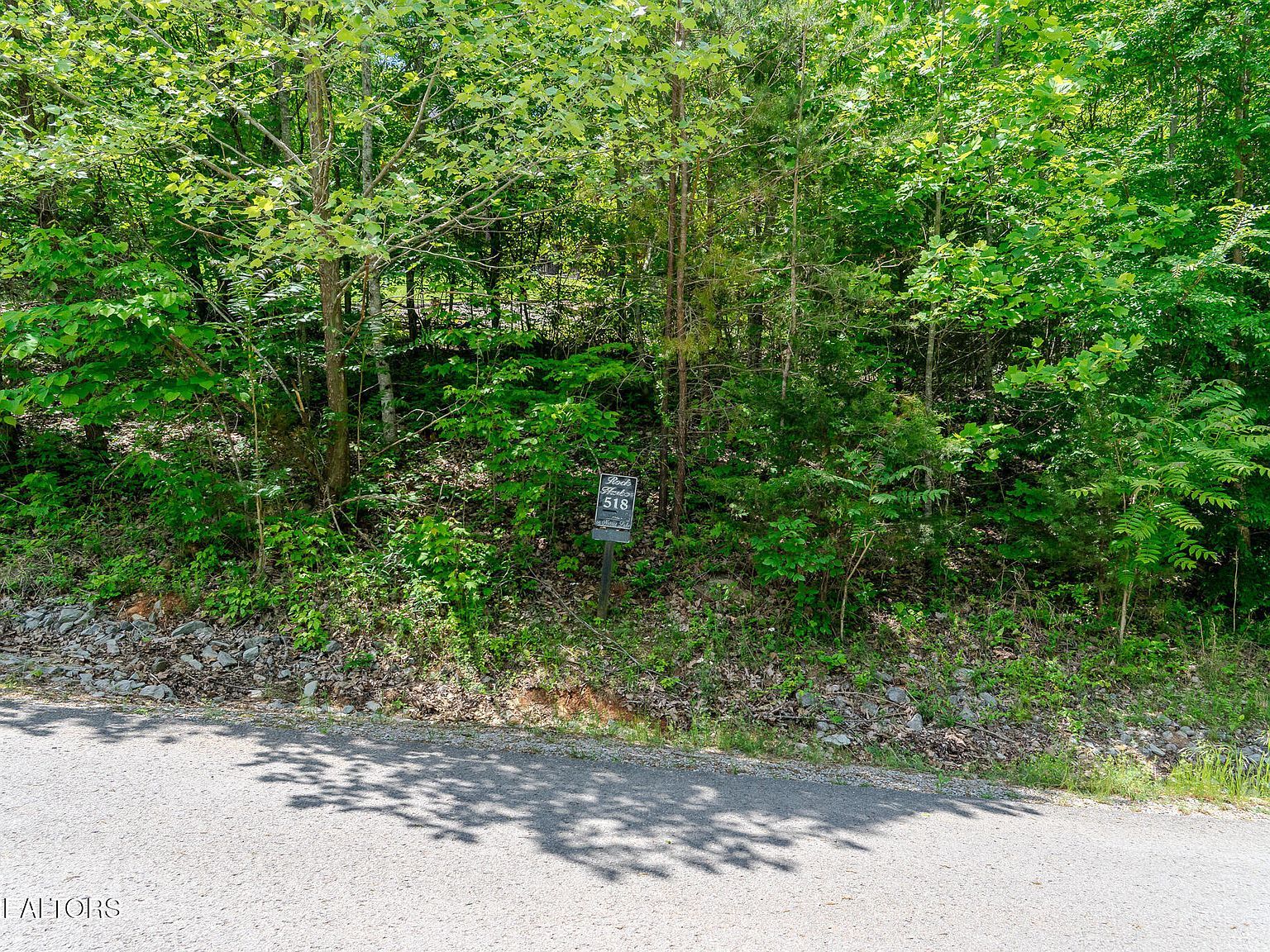 518 Mystic Star Dr New Tazewell, TN 37825 - Thumbnail 3