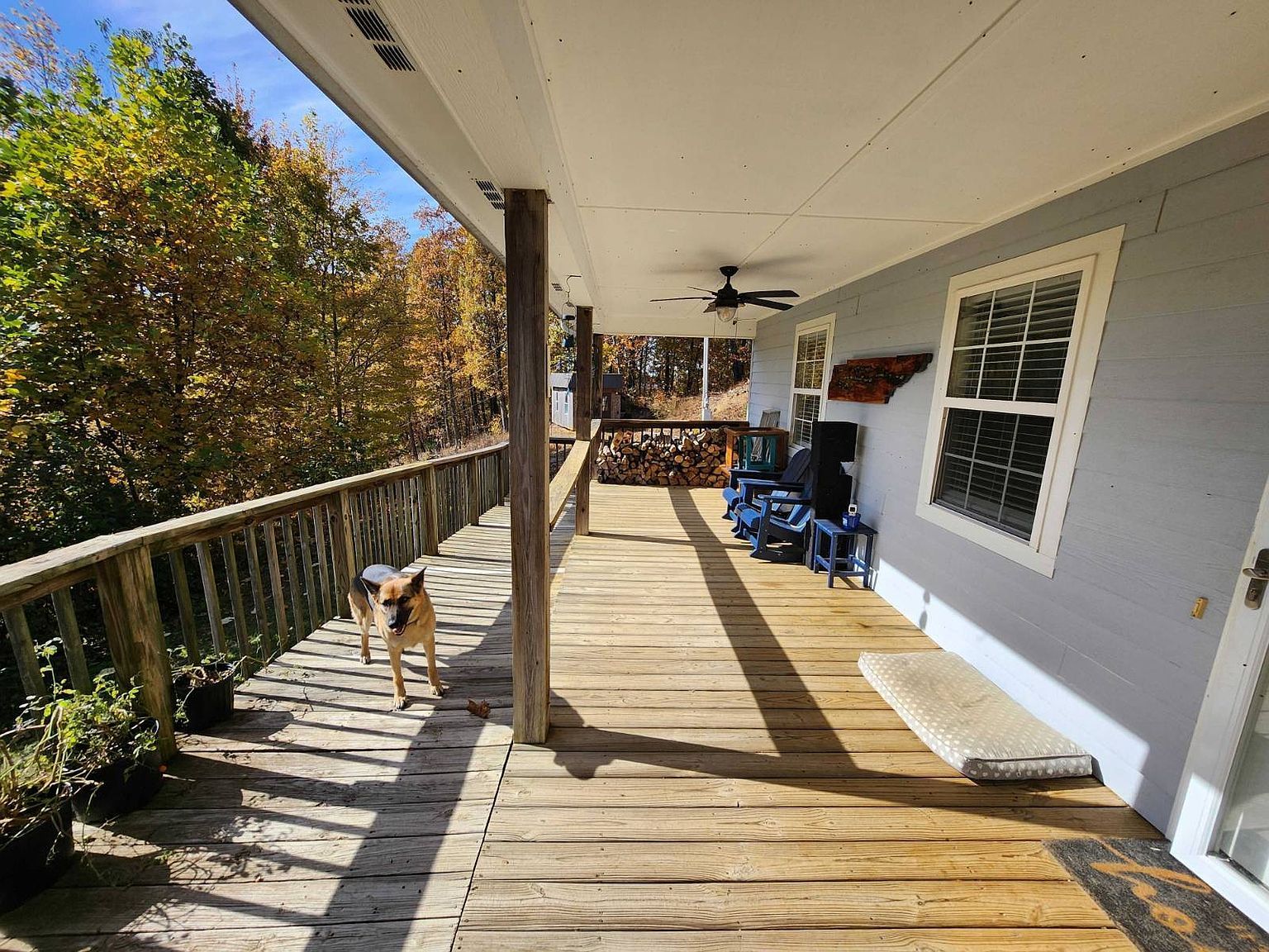 7538 Snake Hollow Rd Sneedville, TN 37869 - Thumbnail 3