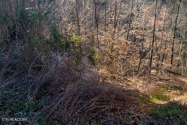 636 Stockton Dr Sevierville, TN 37876 - Thumbnail 3