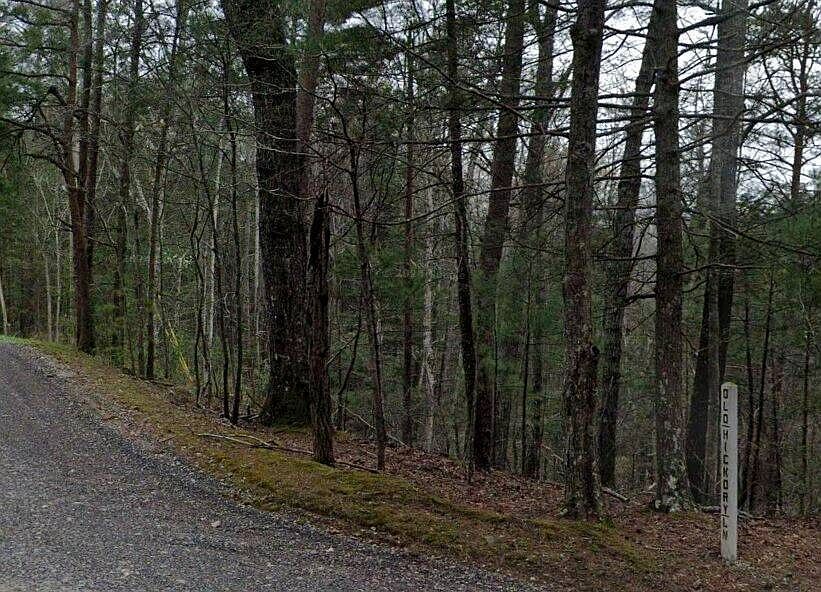 0 Old Hickory Ln Tellico Plains, TN 37385 - Thumbnail 3