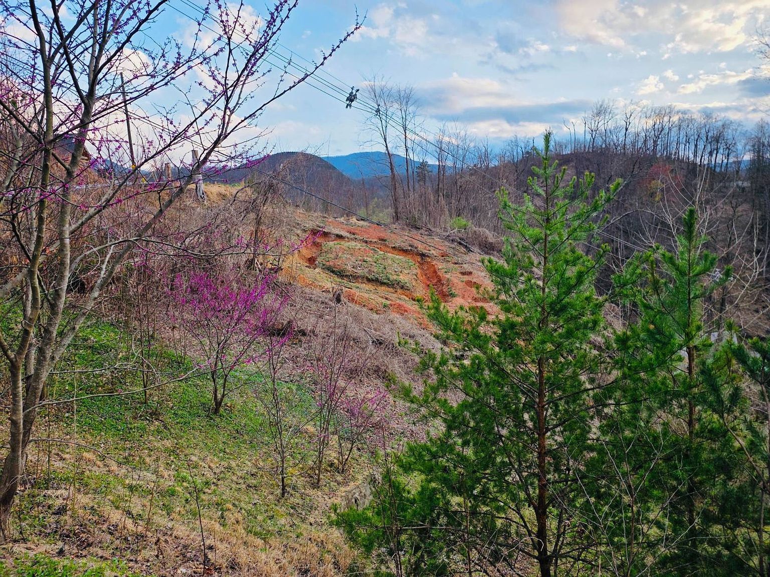 792 Davenport Rd Gatlinburg, TN 37738 - Thumbnail 3