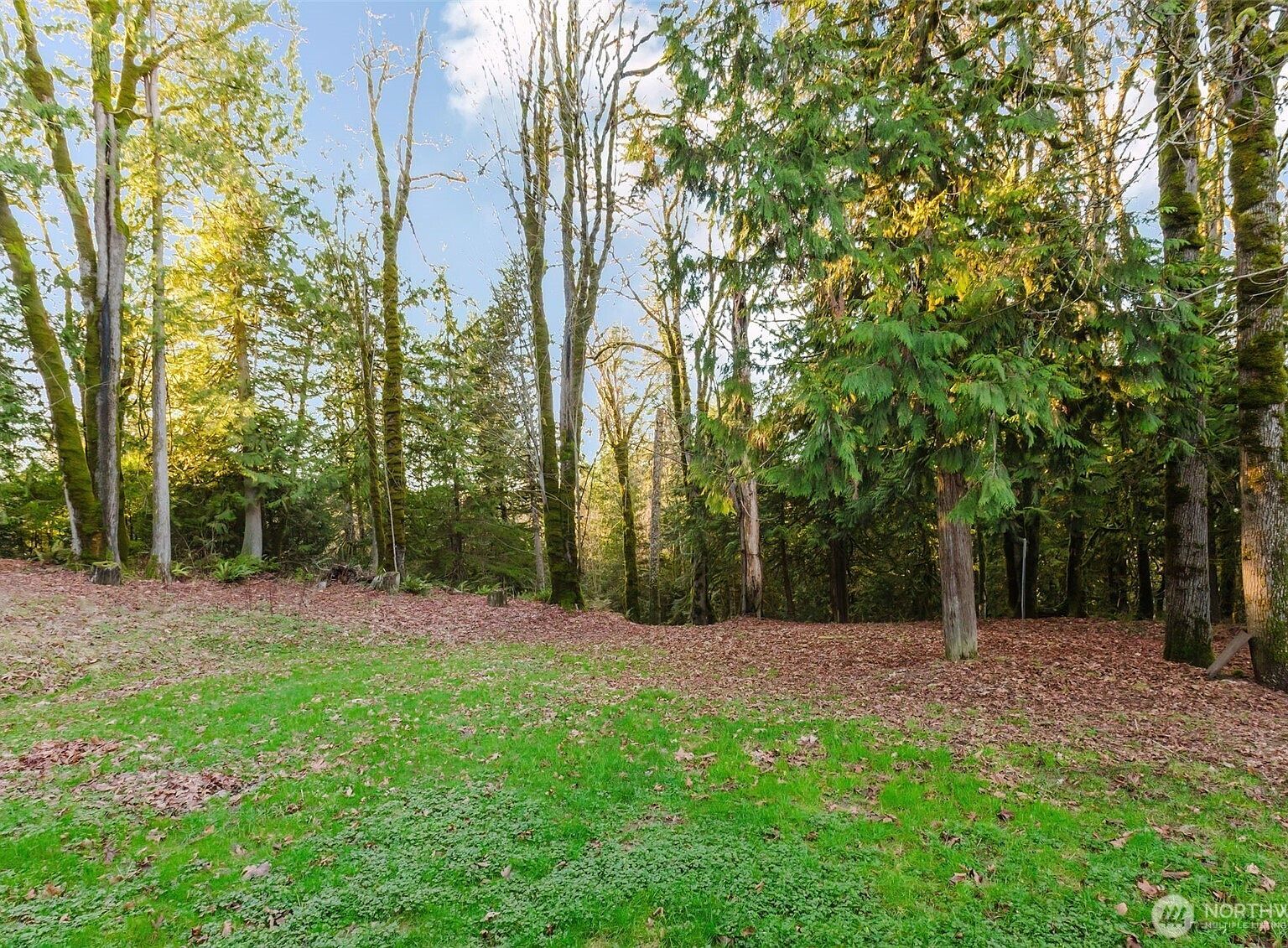 360 E Rasor Rd Belfair, WA 98528 - Thumbnail 3