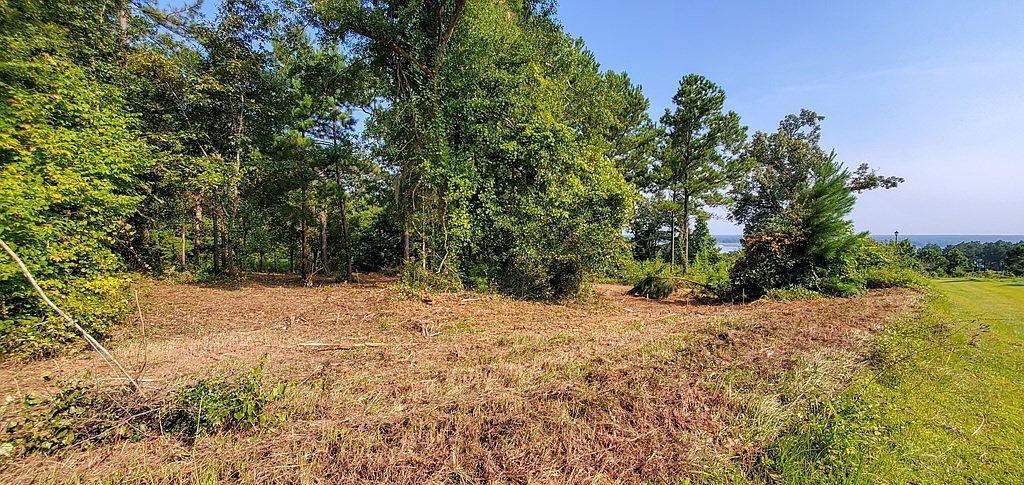 LOT-13A Mountain View Way Bainbridge, GA 39819 - Thumbnail 3