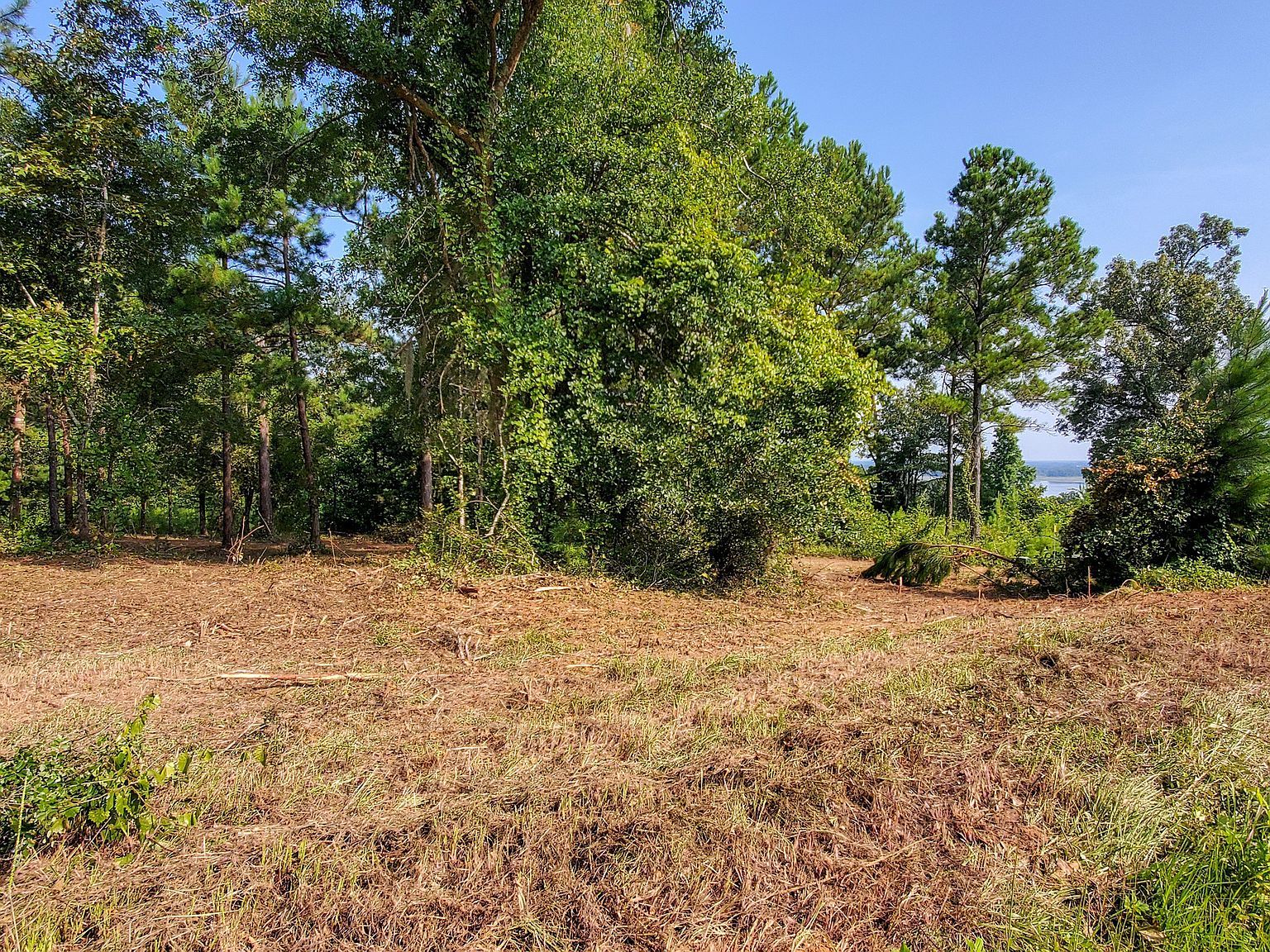 13 Mountain View Way #A Bainbridge, GA 39819 - Thumbnail 3