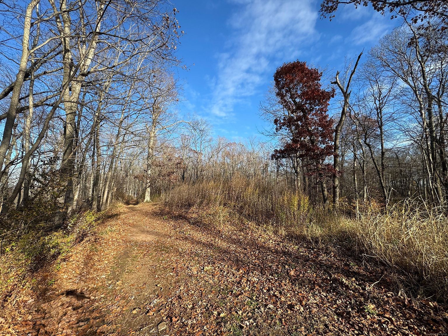 71 Hilltop Dr Branford, CT 06405 - Thumbnail 3