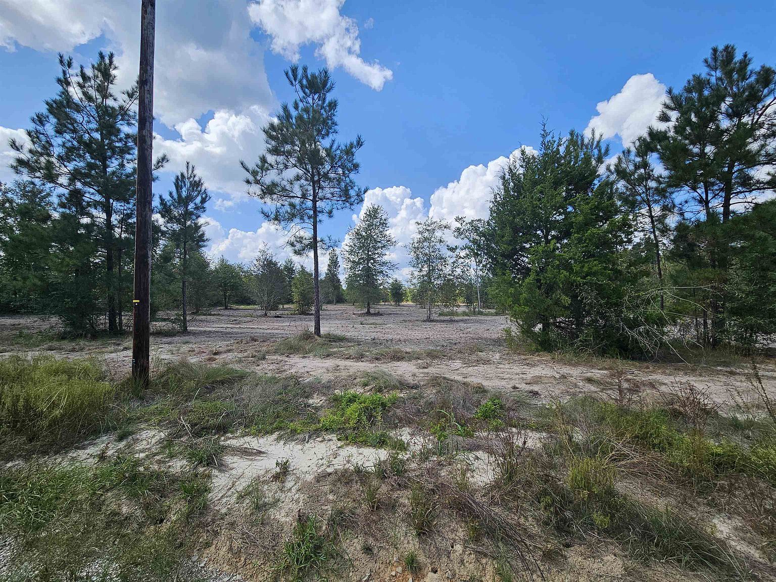 8 Marcantel Rd Dequincy, LA 70633 - Thumbnail 3