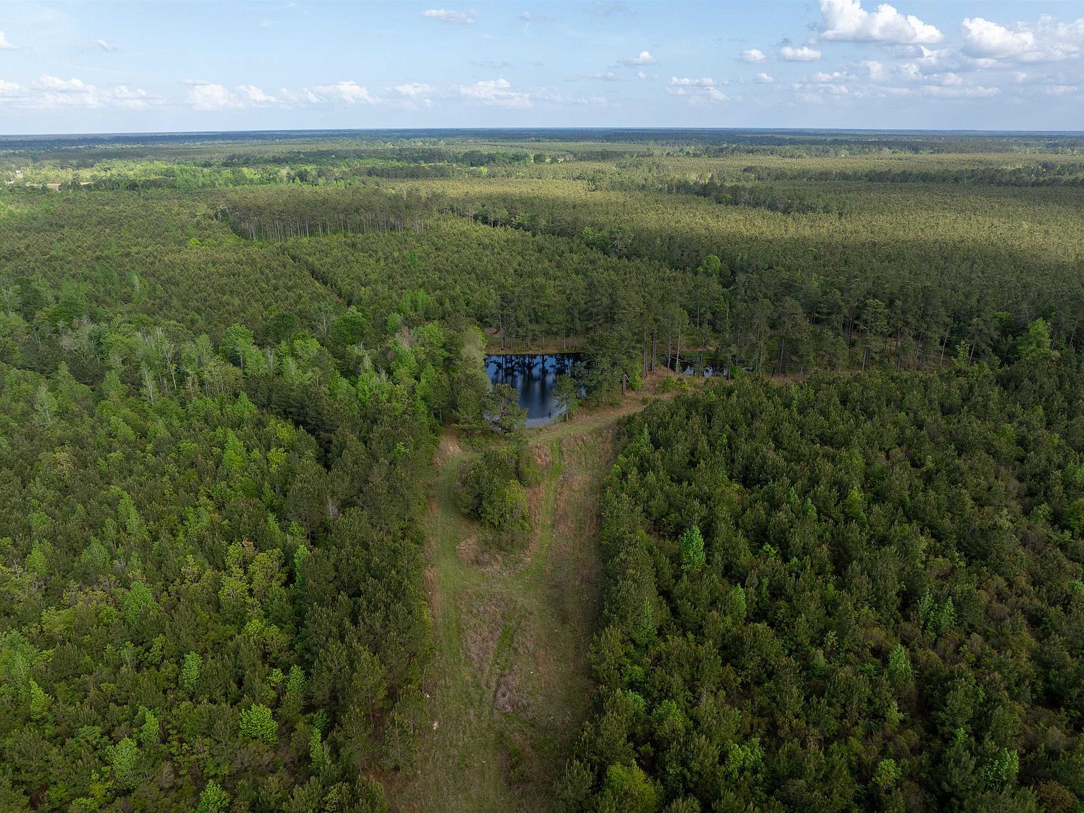 0 Odis Greene Rd Deridder, LA 70634 - Thumbnail 3