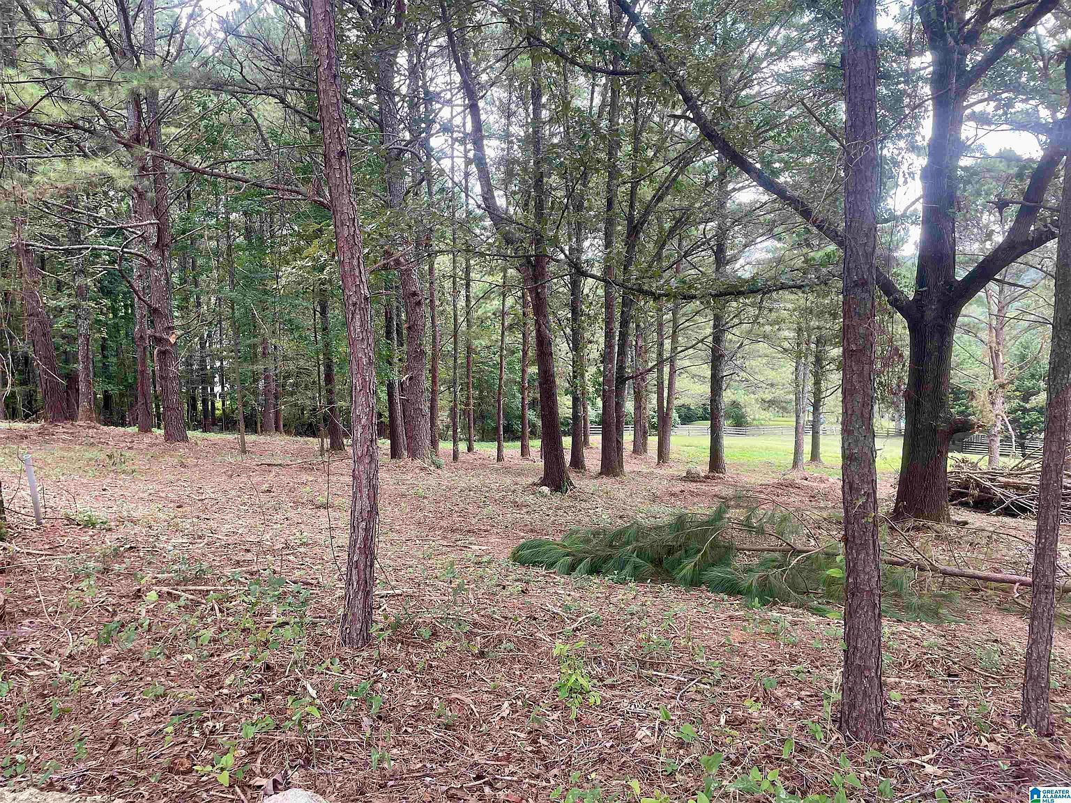 1782 Village Springs Rd Springville, AL 35146 - Thumbnail 3