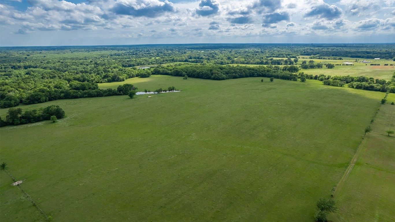 Tbd Fm 71 Commerce, TX 75428 - Thumbnail 3