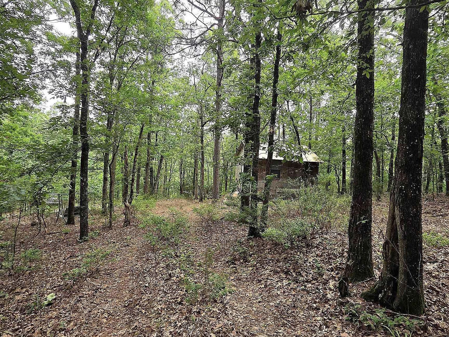 301 Chaparral Ln Mena, AR 71953 - Thumbnail 3