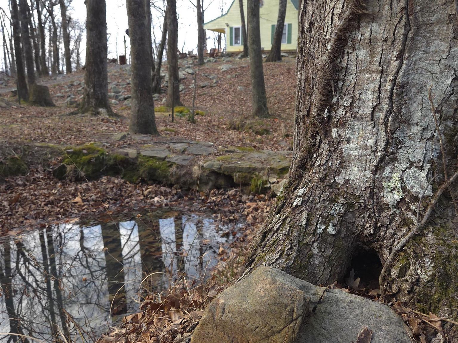 193 Shanendoah Mena, AR 71953 - Thumbnail 3