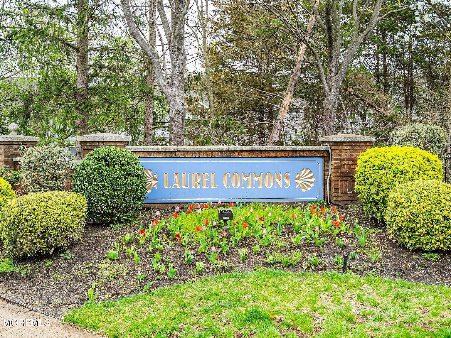 56 Violet Ct Toms River, NJ 08753 - Thumbnail 3