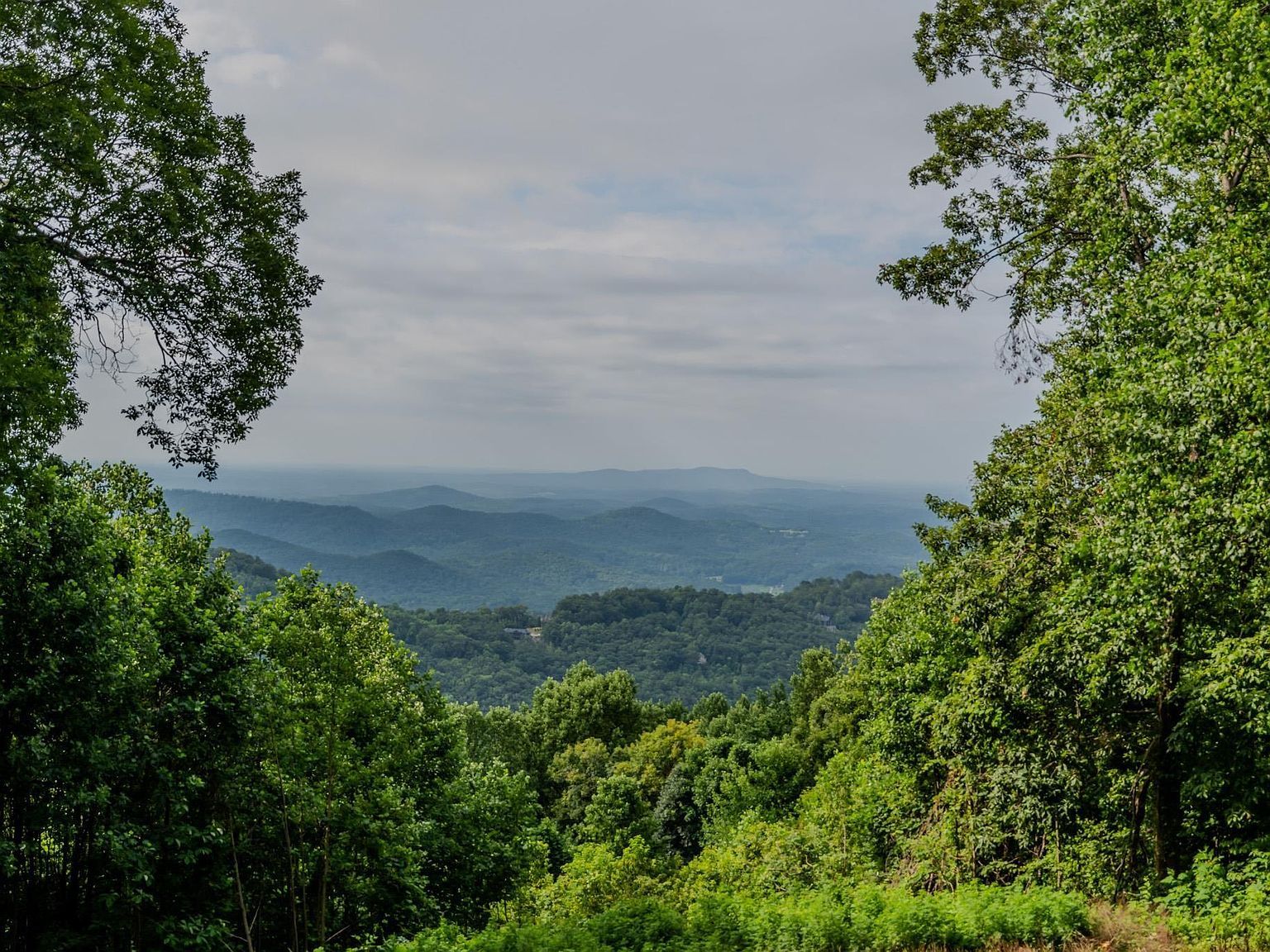 42 Wild Magnolia Way Zirconia, NC 28790 - Thumbnail 3