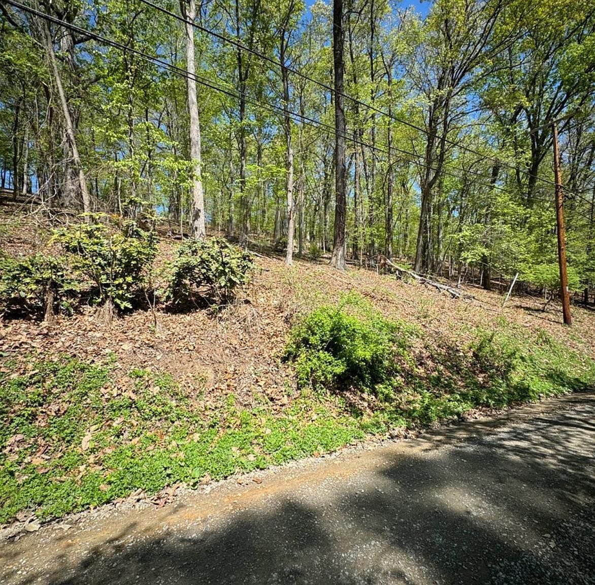 Timber Ln, Bluemont, VA, 20135 - Thumbnail 3