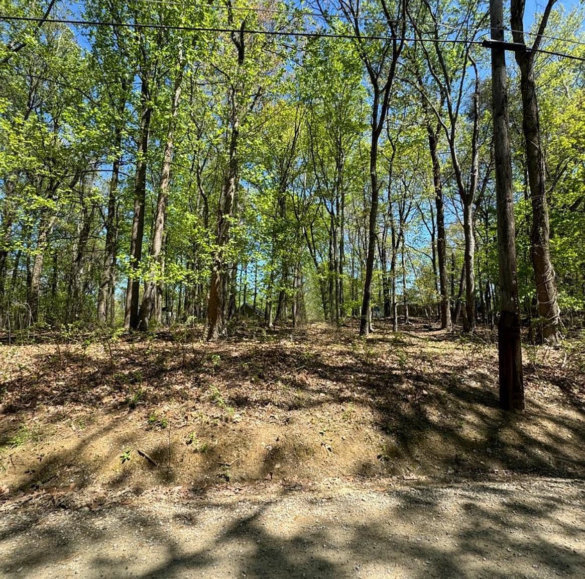 Honeysuckle Ln Berryville, VA 22611 - Thumbnail 3